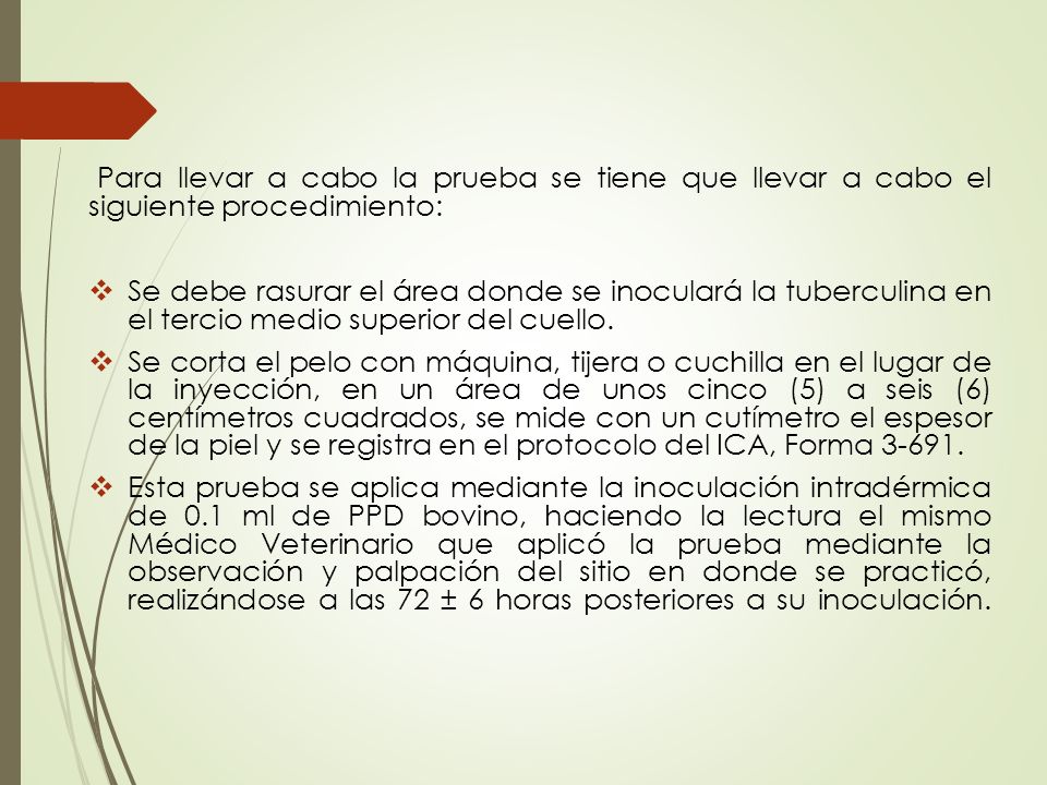 Para llevar a cabo la prueba se tiene que llevar a cabo el siguiente procedimiento: