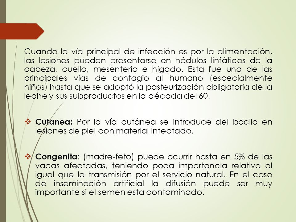 Cuando la vía principal de infección es por la alimentación, las lesiones pueden presentarse en nódulos linfáticos de la cabeza, cuello, mesenterio e hígado. Esta fue una de las principales vías de contagio al humano (especialmente niños) hasta que se adoptó la pasteurización obligatoria de la leche y sus subproductos en la década del 60.