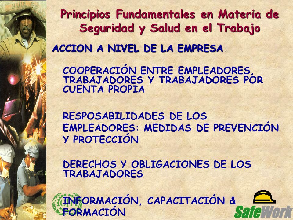Principios Fundamentales en Materia de Seguridad y Salud en el Trabajo