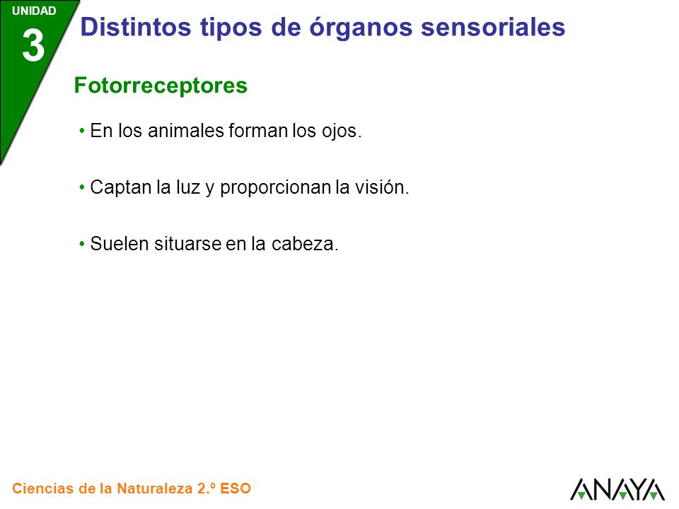 Distintos tipos de órganos sensoriales