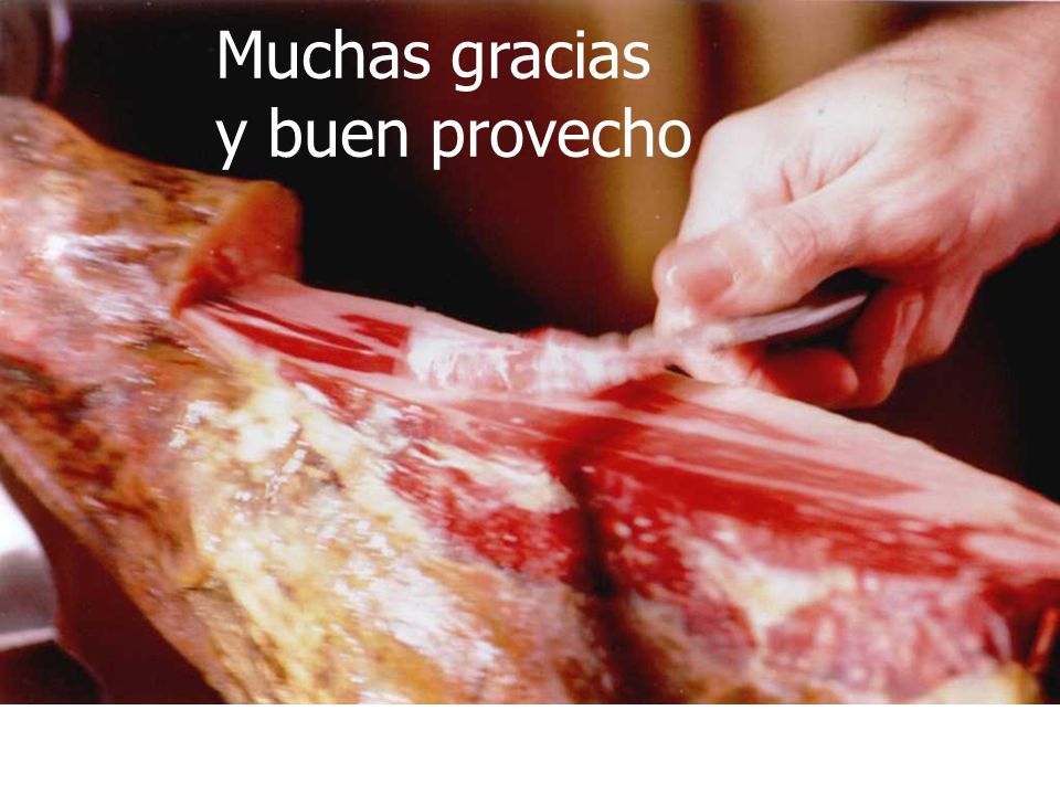 Muchas gracias y buen provecho