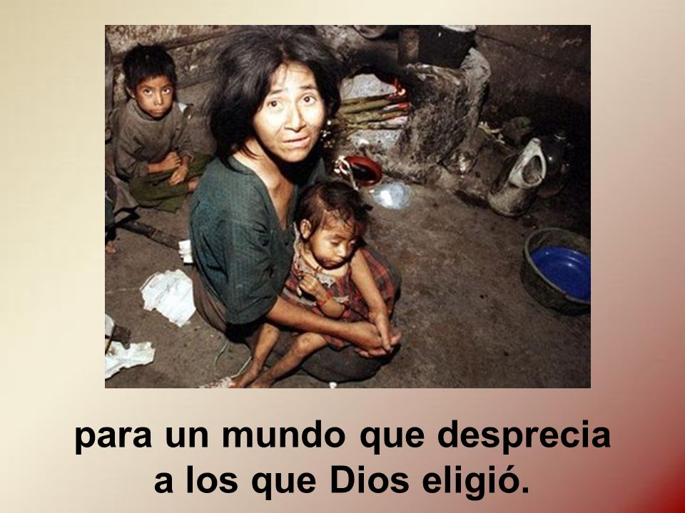 para un mundo que desprecia a los que Dios eligió.