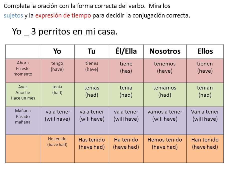 Yo _ 3 perritos en mi casa. Yo Tu Él/Ella Nosotros Ellos