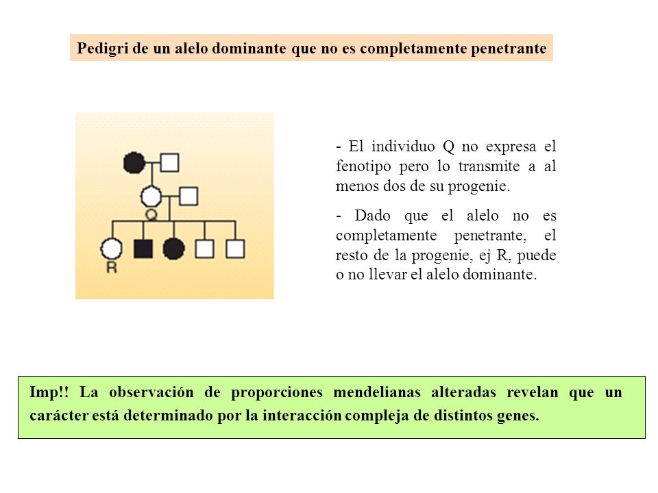 Pedigri de un alelo dominante que no es completamente penetrante