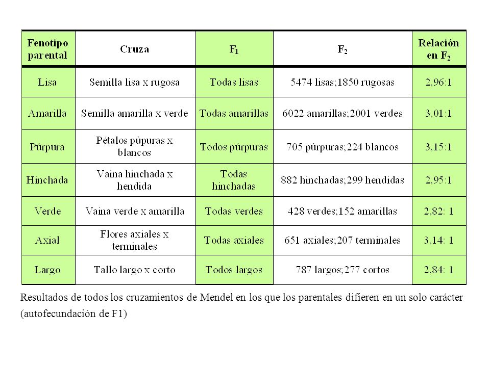 Resultados de todos los cruzamientos de Mendel en los que los parentales difieren en un solo carácter