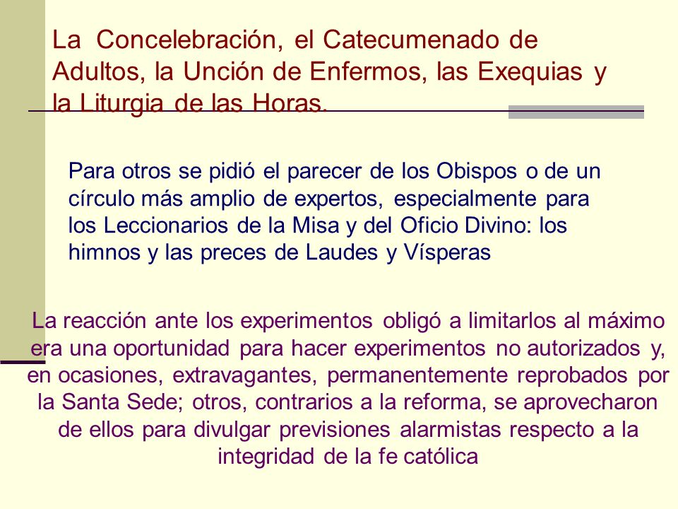 La Concelebración, el Catecumenado de Adultos, la Unción de Enfermos, las Exequias y la Liturgia de las Horas.