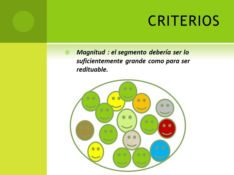 CRITERIOS Magnitud : el segmento debería ser lo suficientemente grande como para ser redituable.