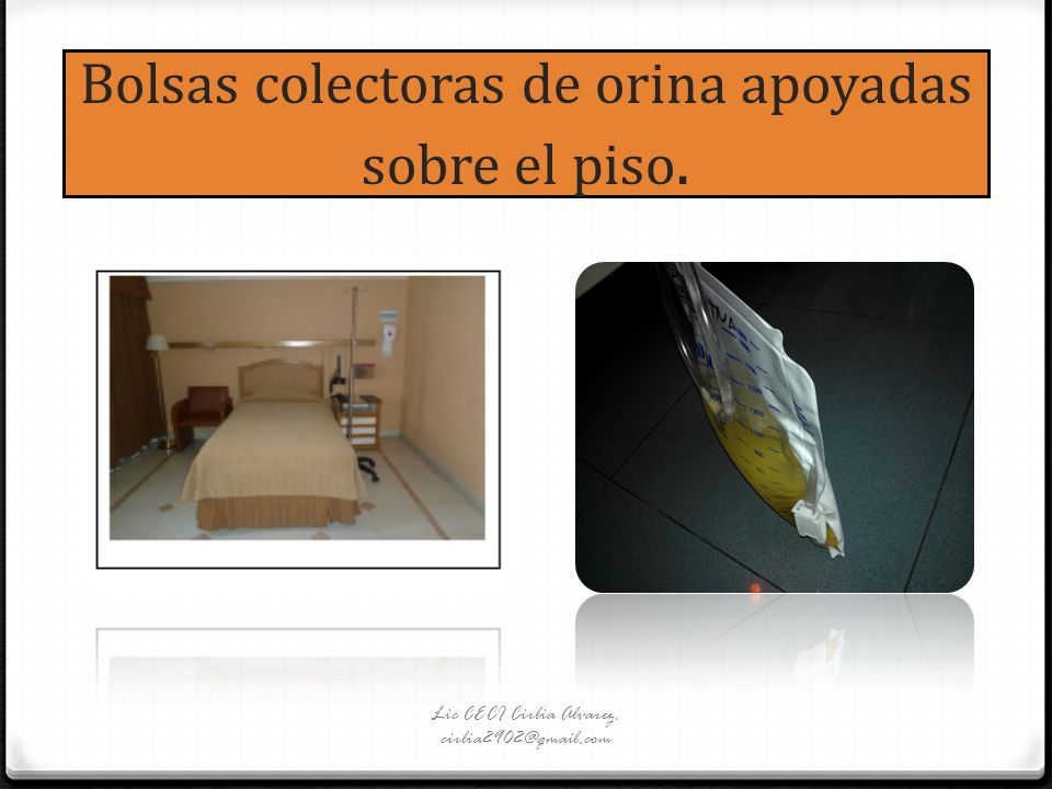 Bolsas colectoras de orina apoyadas sobre el piso.