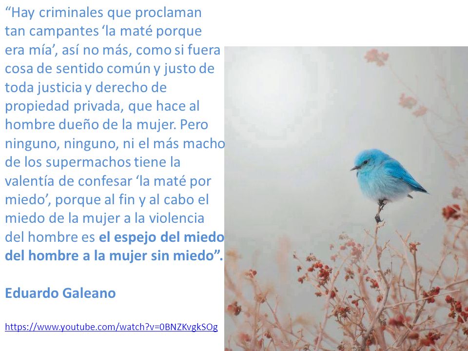 Hay criminales que proclaman tan campantes ‘la maté porque era mía’, así no más, como si fuera cosa de sentido común y justo de toda justicia y derecho de propiedad privada, que hace al hombre dueño de la mujer. Pero ninguno, ninguno, ni el más macho de los supermachos tiene la valentía de confesar ‘la maté por miedo’, porque al fin y al cabo el miedo de la mujer a la violencia del hombre es el espejo del miedo del hombre a la mujer sin miedo .