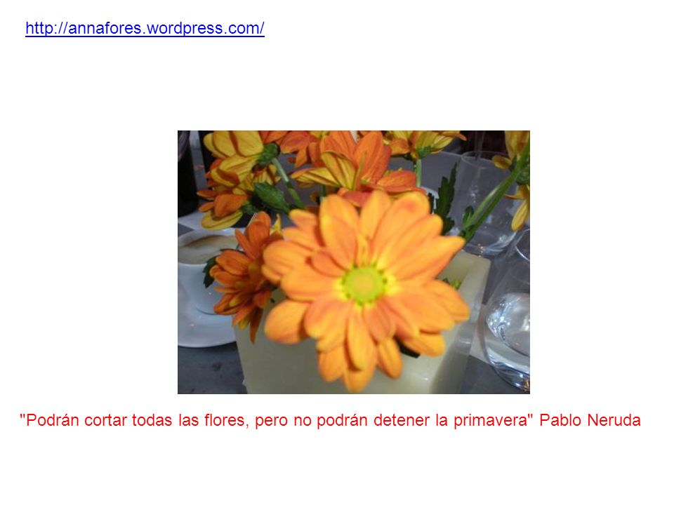 Podrán cortar todas las flores, pero no podrán detener la primavera Pablo Neruda.