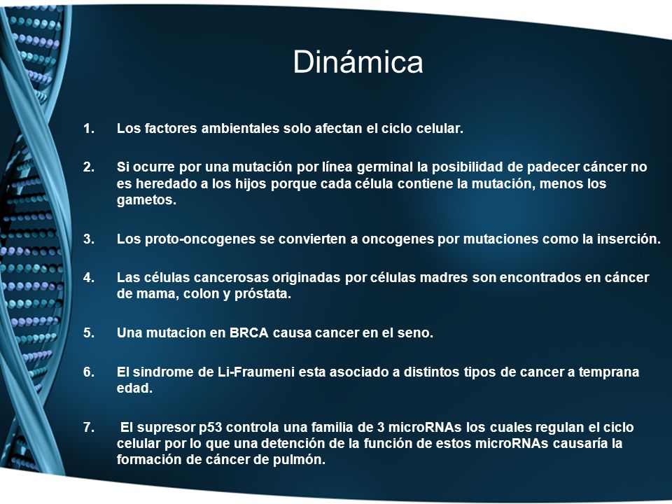 Dinámica Los factores ambientales solo afectan el ciclo celular.
