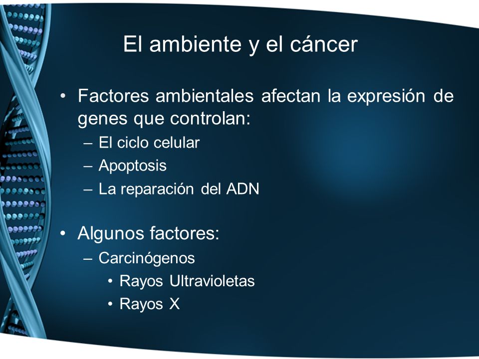 El ambiente y el cáncer Factores ambientales afectan la expresión de genes que controlan: El ciclo celular.