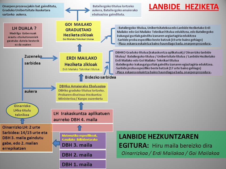 LANBIDE HEZIKETA Onarpen prozesu jakin bat gaindituta, Graduko Unibertsitate ikasketara sartzeko aukera.