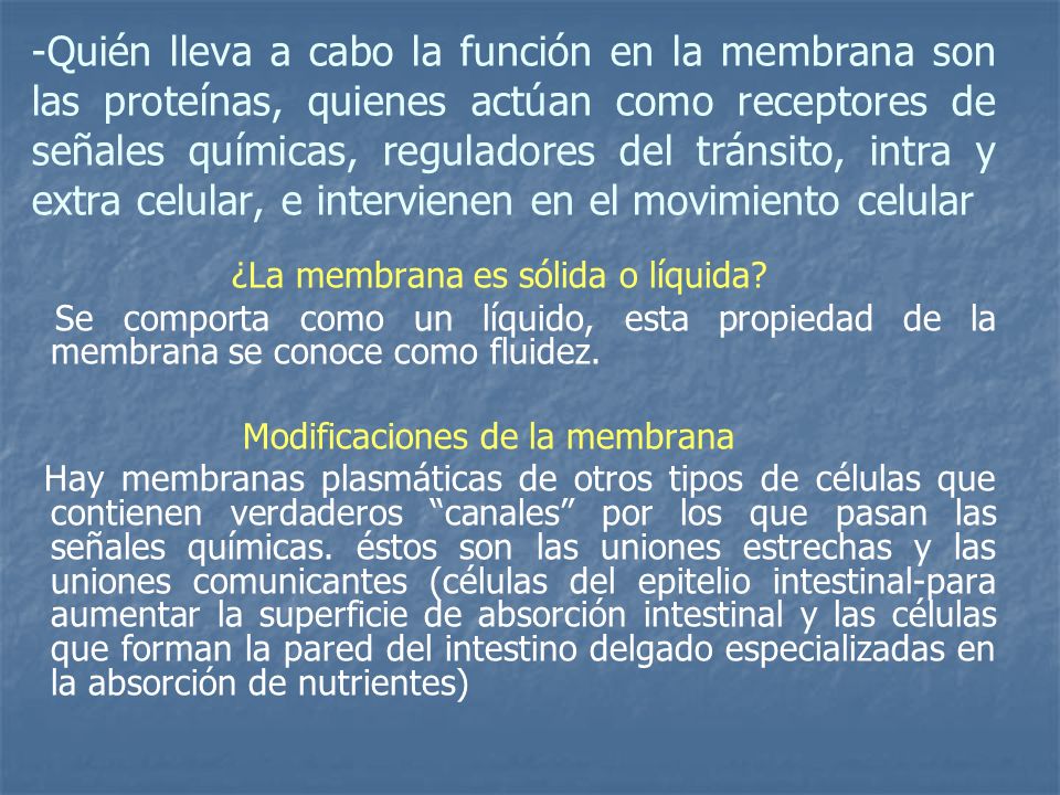 Quién lleva a cabo la función en la membrana son las proteínas, quienes actúan como receptores de señales químicas, reguladores del tránsito, intra y extra celular, e intervienen en el movimiento celular