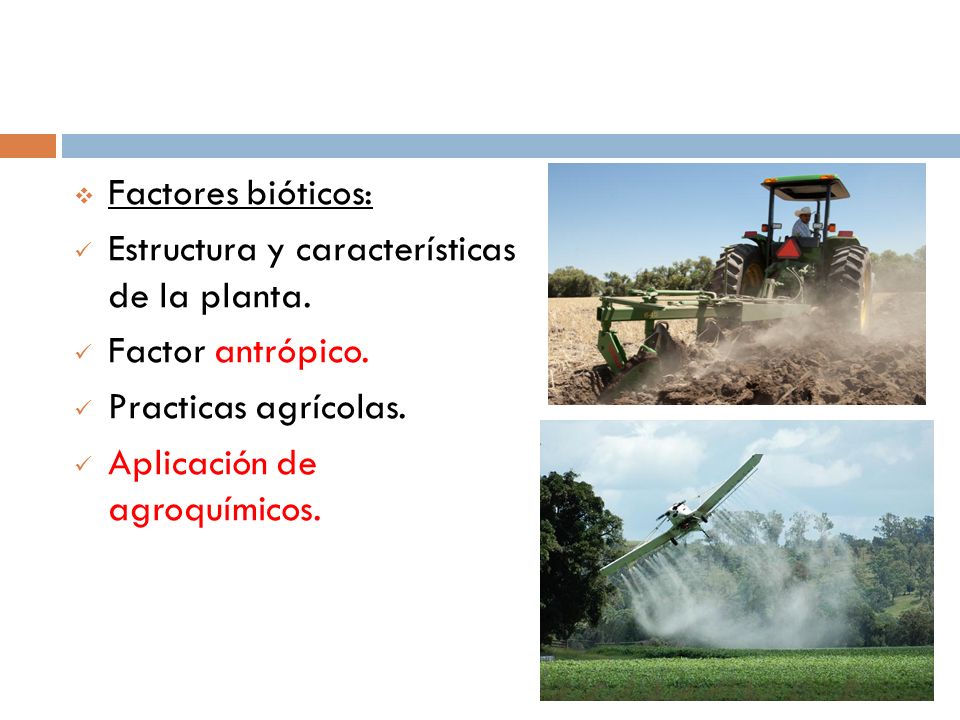 Factores bióticos: Estructura y características de la planta. Factor antrópico. Practicas agrícolas.