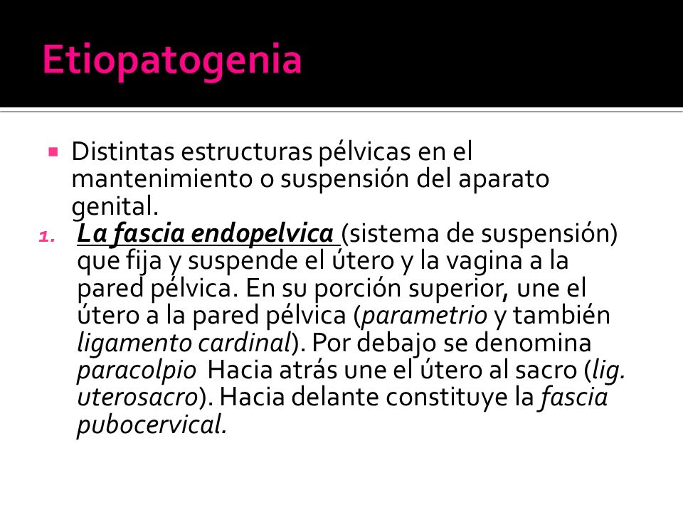 Etiopatogenia Distintas estructuras pélvicas en el mantenimiento o suspensión del aparato genital.
