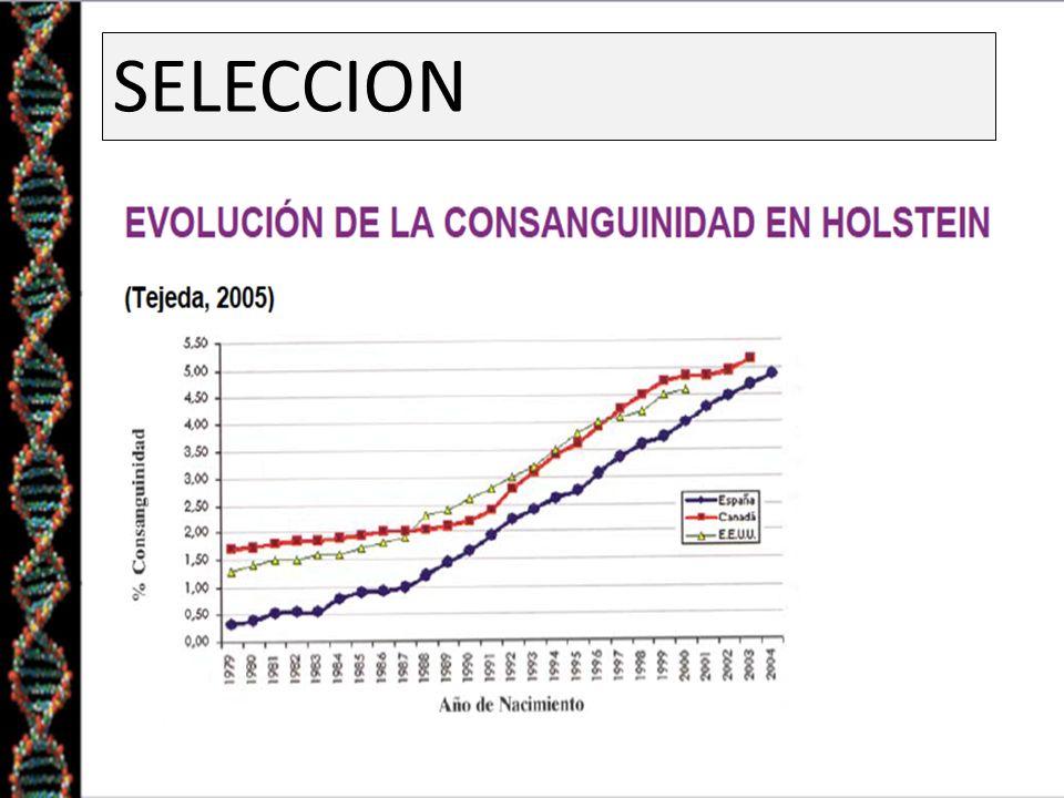 SELECCION