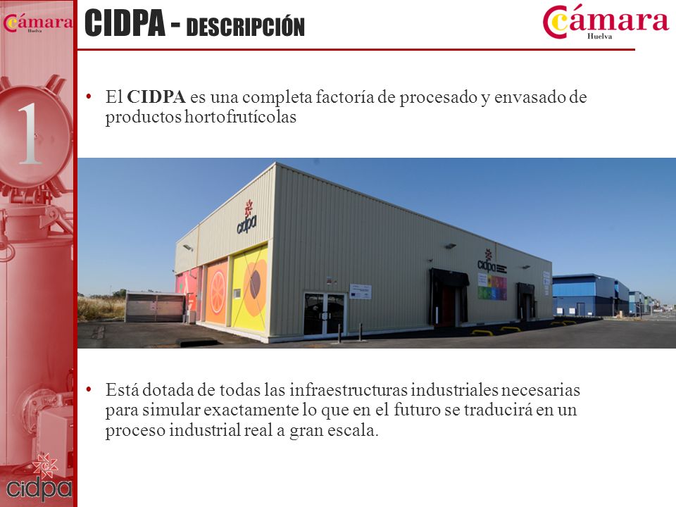 CIDPA - DESCRIPCIÓN 1. El CIDPA es una completa factoría de procesado y envasado de productos hortofrutícolas.