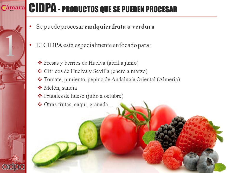 CIDPA - PRODUCTOS QUE SE PUEDEN PROCESAR