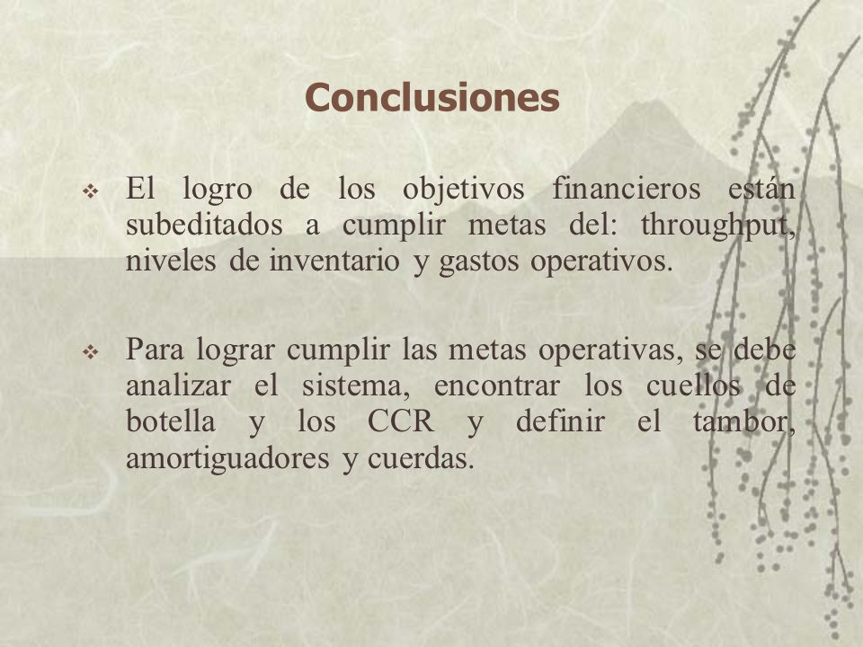 Conclusiones El logro de los objetivos financieros están subeditados a cumplir metas del: throughput, niveles de inventario y gastos operativos.