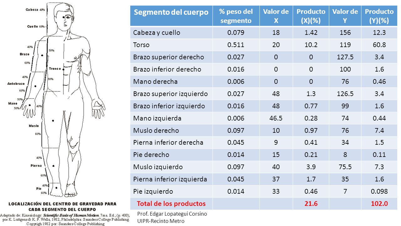 Segmento del cuerpo % peso del segmento Valor de X Producto (X)(%)