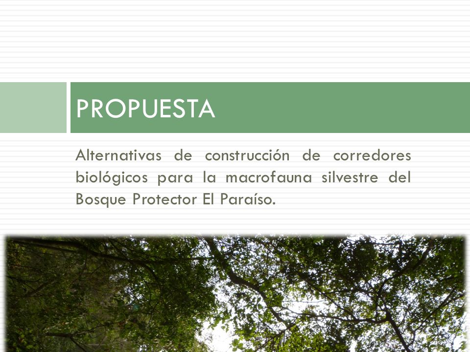 PROPUESTA Alternativas de construcción de corredores biológicos para la macrofauna silvestre del Bosque Protector El Paraíso.