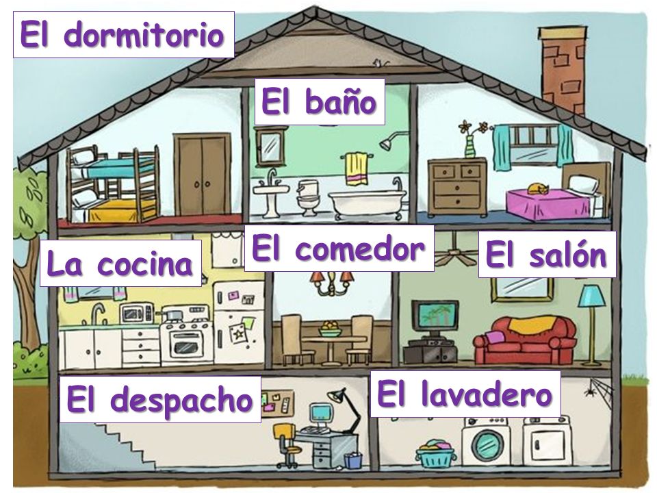 El dormitorio El baño El comedor El salón La cocina El lavadero