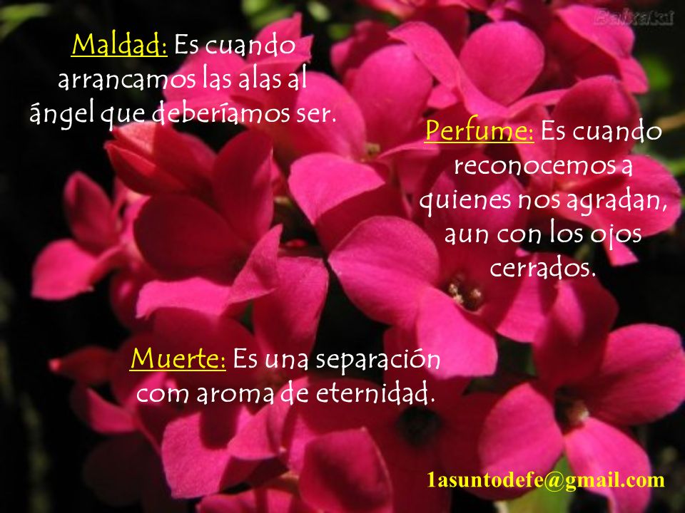 Maldad: Es cuando arrancamos las alas al ángel que deberíamos ser.