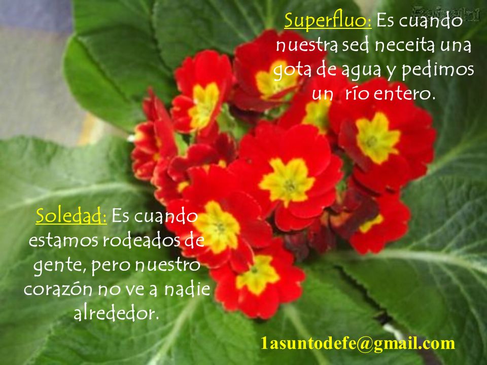 Superfluo: Es cuando nuestra sed neceita una gota de agua y pedimos un río entero.