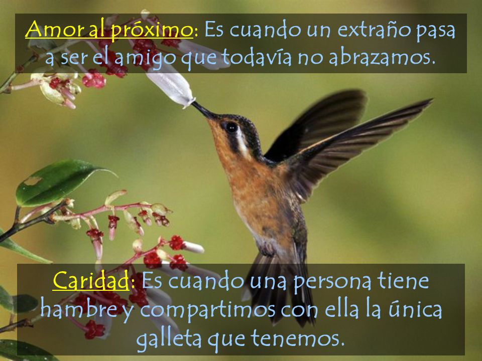Amor al próximo: Es cuando un extraño pasa a ser el amigo que todavía no abrazamos.