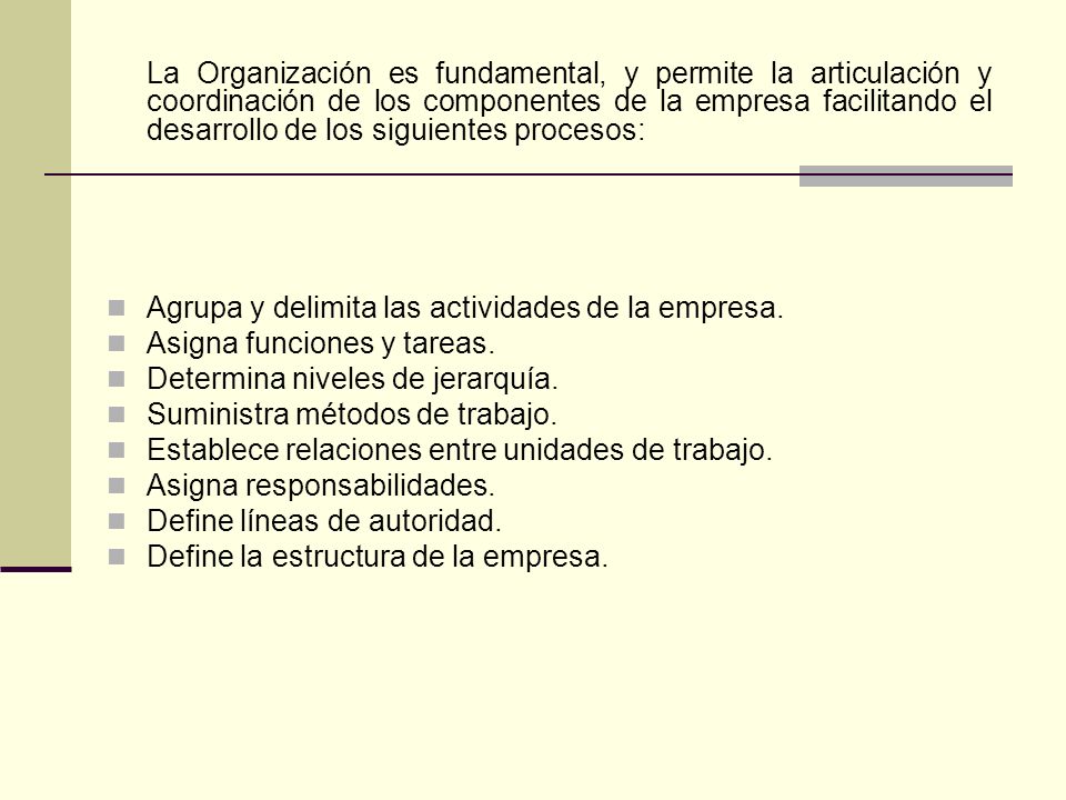 La Organización es fundamental, y permite la articulación y coordinación de los componentes de la empresa facilitando el desarrollo de los siguientes procesos:
