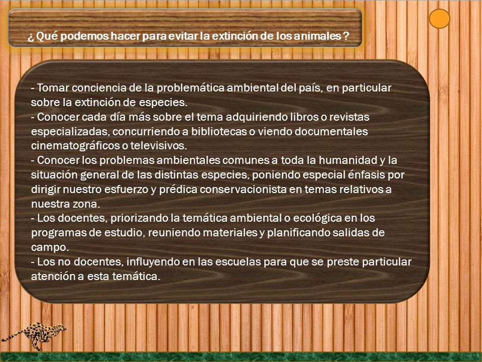 ¿ Qué podemos hacer para evitar la extinción de los animales