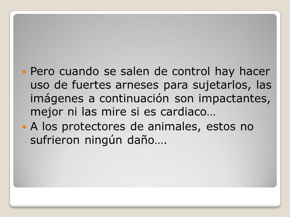 Pero cuando se salen de control hay hacer uso de fuertes arneses para sujetarlos, las imágenes a continuación son impactantes, mejor ni las mire si es cardiaco…