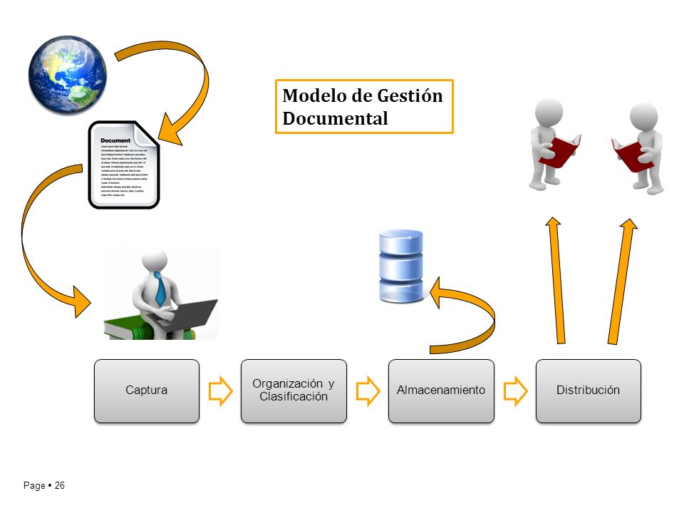 Organización y Clasificación