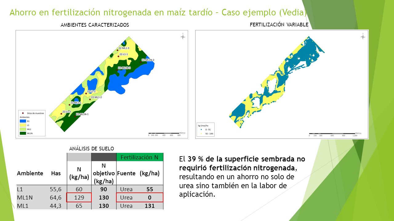 Ahorro en fertilización nitrogenada en maíz tardío – Caso ejemplo (Vedia)