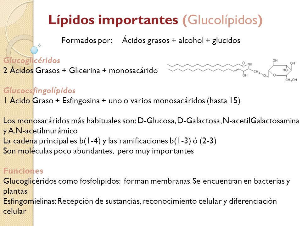 Formados por: Ácidos grasos + alcohol + glucidos