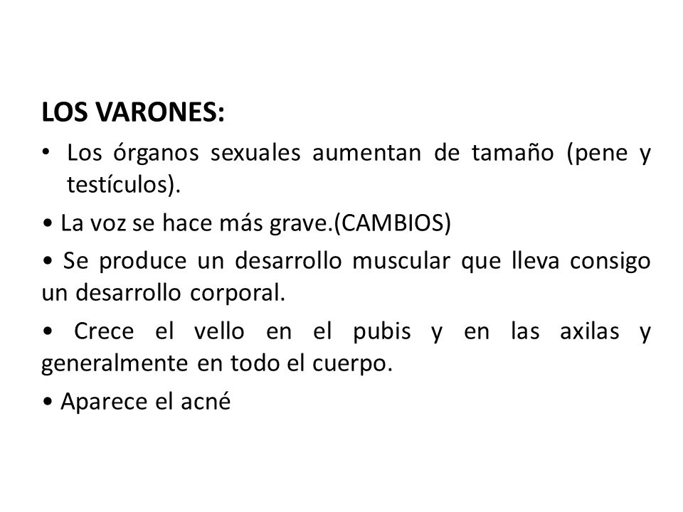 LOS VARONES: Los órganos sexuales aumentan de tamaño (pene y testículos). • La voz se hace más grave.(CAMBIOS)