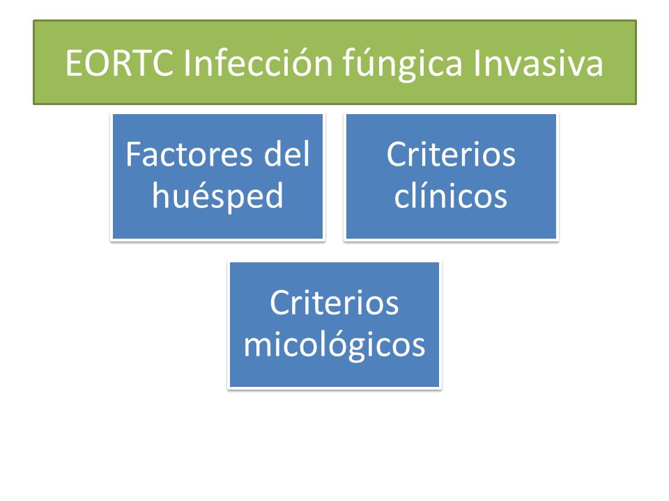 EORTC Infección fúngica Invasiva