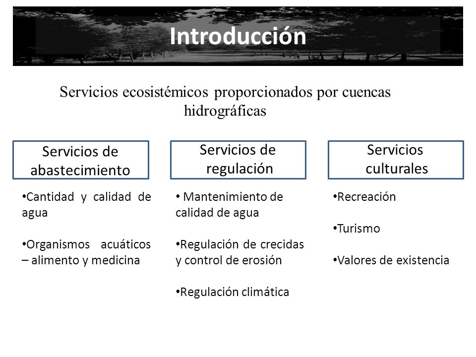 Introducción Servicios ecosistémicos proporcionados por cuencas hidrográficas. Servicios de abastecimiento.