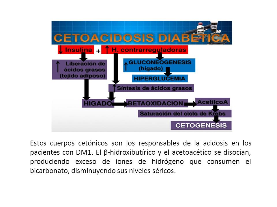 Estos cuerpos cetónicos son los responsables de la acidosis en los pacientes con DM1.