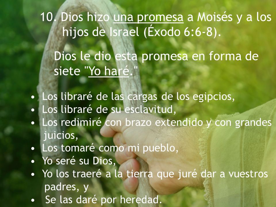 Dios le dio esta promesa en forma de siete Yo haré.