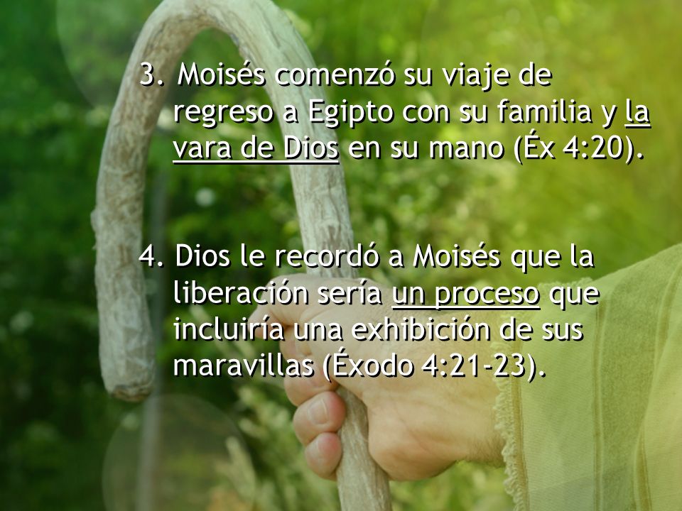 3. Moisés comenzó su viaje de regreso a Egipto con su familia y la vara de Dios en su mano (Éx 4:20).
