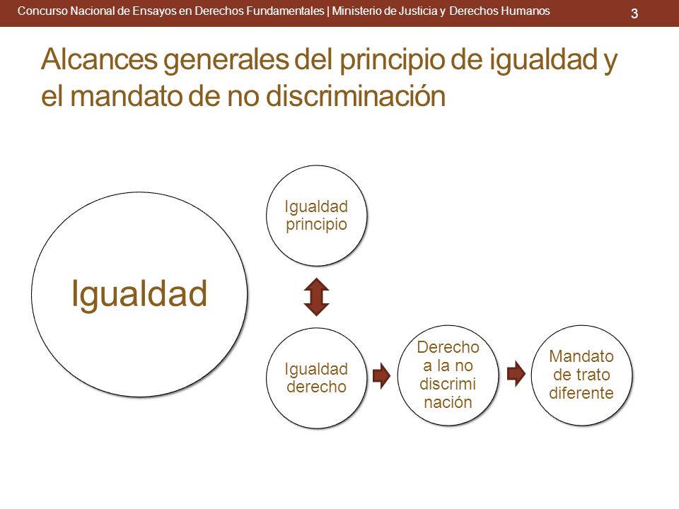 Concurso Nacional de Ensayos en Derechos Fundamentales | Ministerio de Justicia y Derechos Humanos