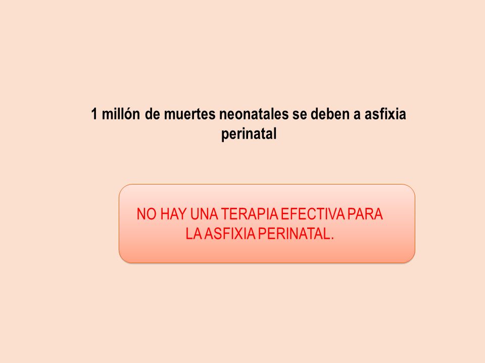 1 millón de muertes neonatales se deben a asfixia perinatal