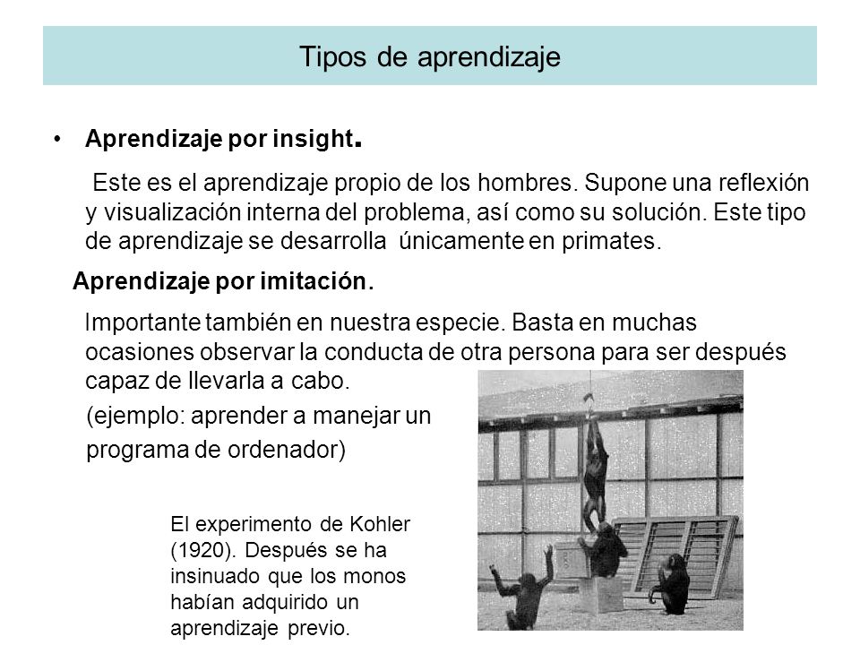 Tipos de aprendizaje Aprendizaje por insight.