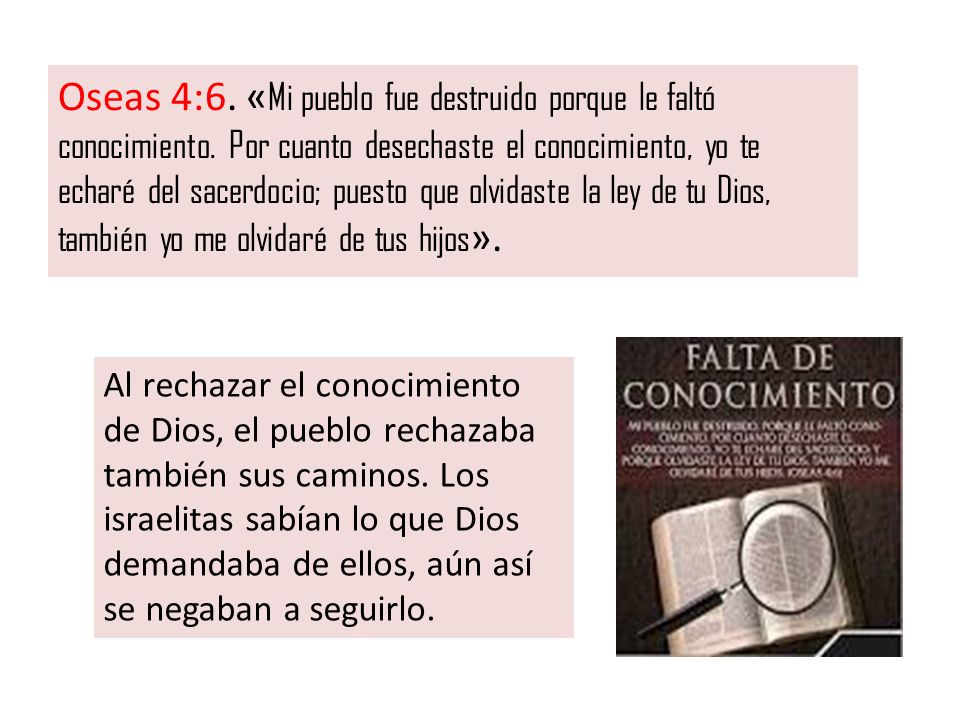 Oseas 4:6. «Mi pueblo fue destruido porque le faltó conocimiento