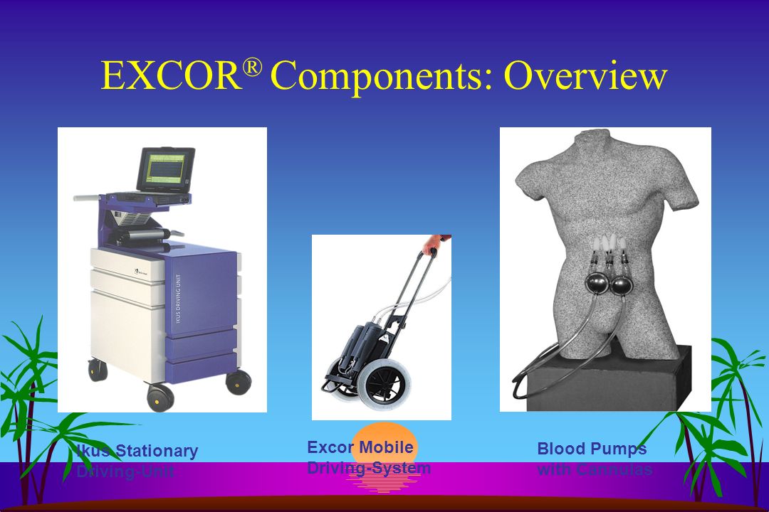 EXCOR® Components: Overview
