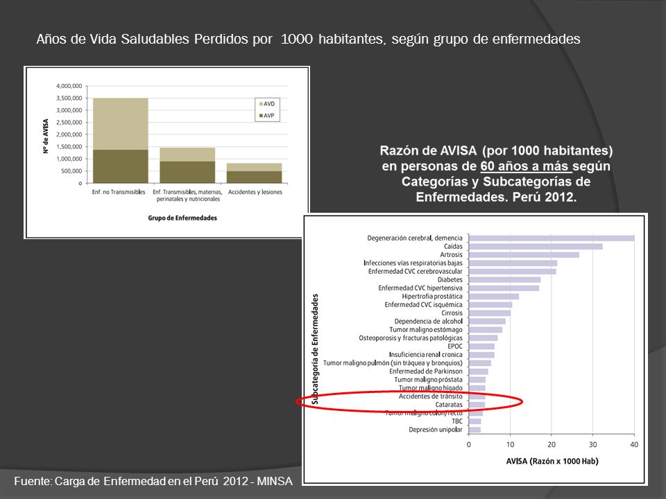 Años de Vida Saludables Perdidos por 1000 habitantes, según grupo de enfermedades