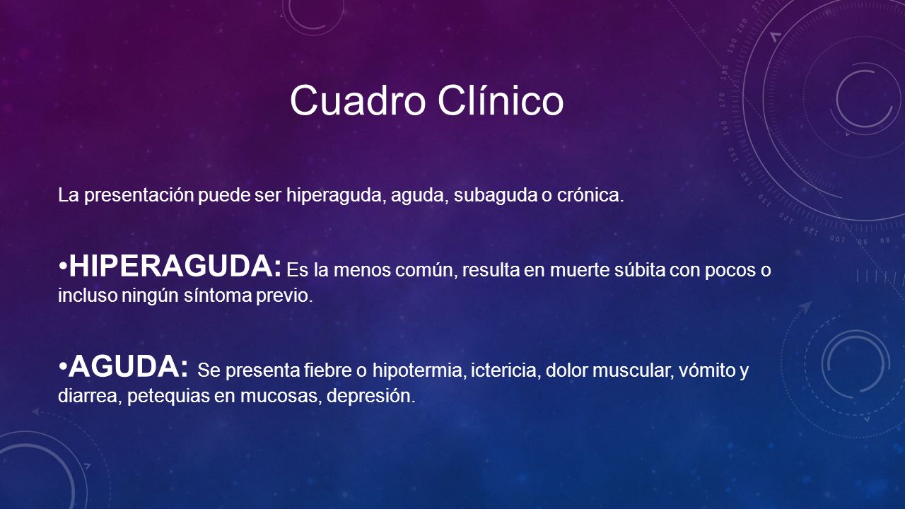 Cuadro Clínico La presentación puede ser hiperaguda, aguda, subaguda o crónica.
