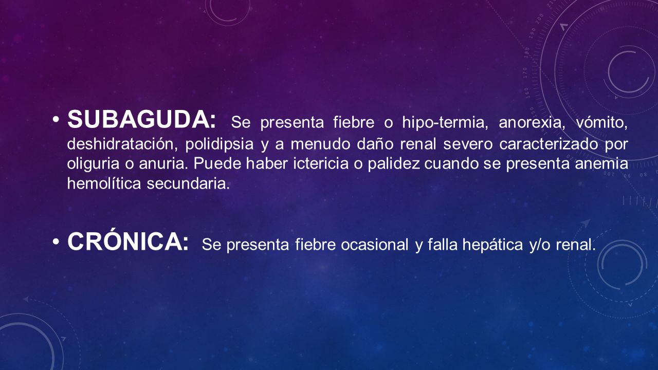 SUBAGUDA: Se presenta fiebre o hipo-termia, anorexia, vómito, deshidratación, polidipsia y a menudo daño renal severo caracterizado por oliguria o anuria. Puede haber ictericia o palidez cuando se presenta anemia hemolítica secundaria.